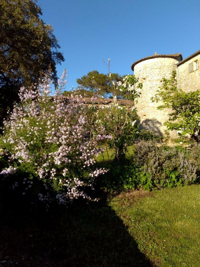 Chateau De Rousson Exteriér fotografie