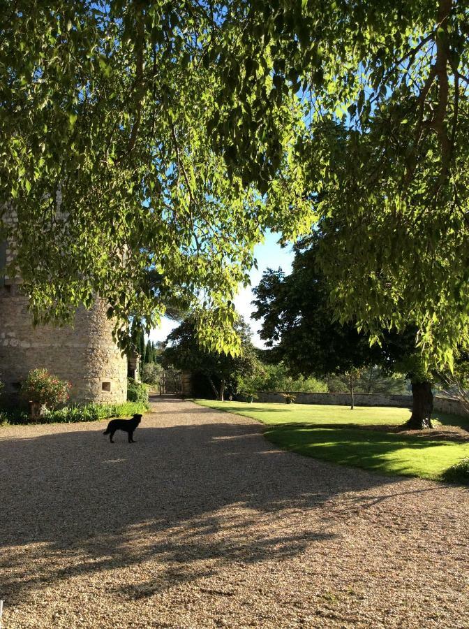 Chateau De Rousson Exteriér fotografie